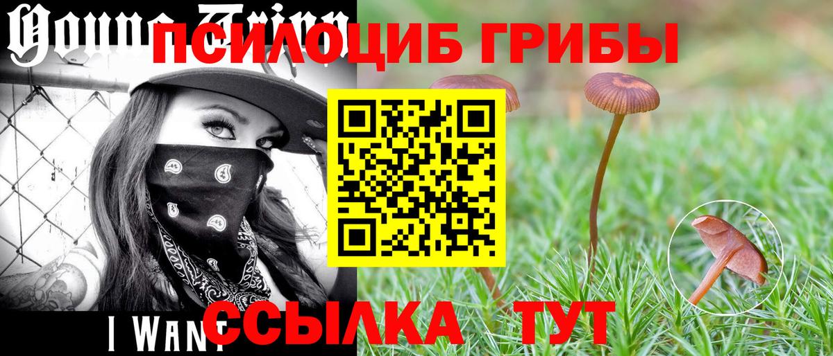 Гулькевичи  как найти закладки  Вход с VPN  Псилоцибиновые грибы Psilocybe  Галлюциногенные грибы Magic Shrooms 